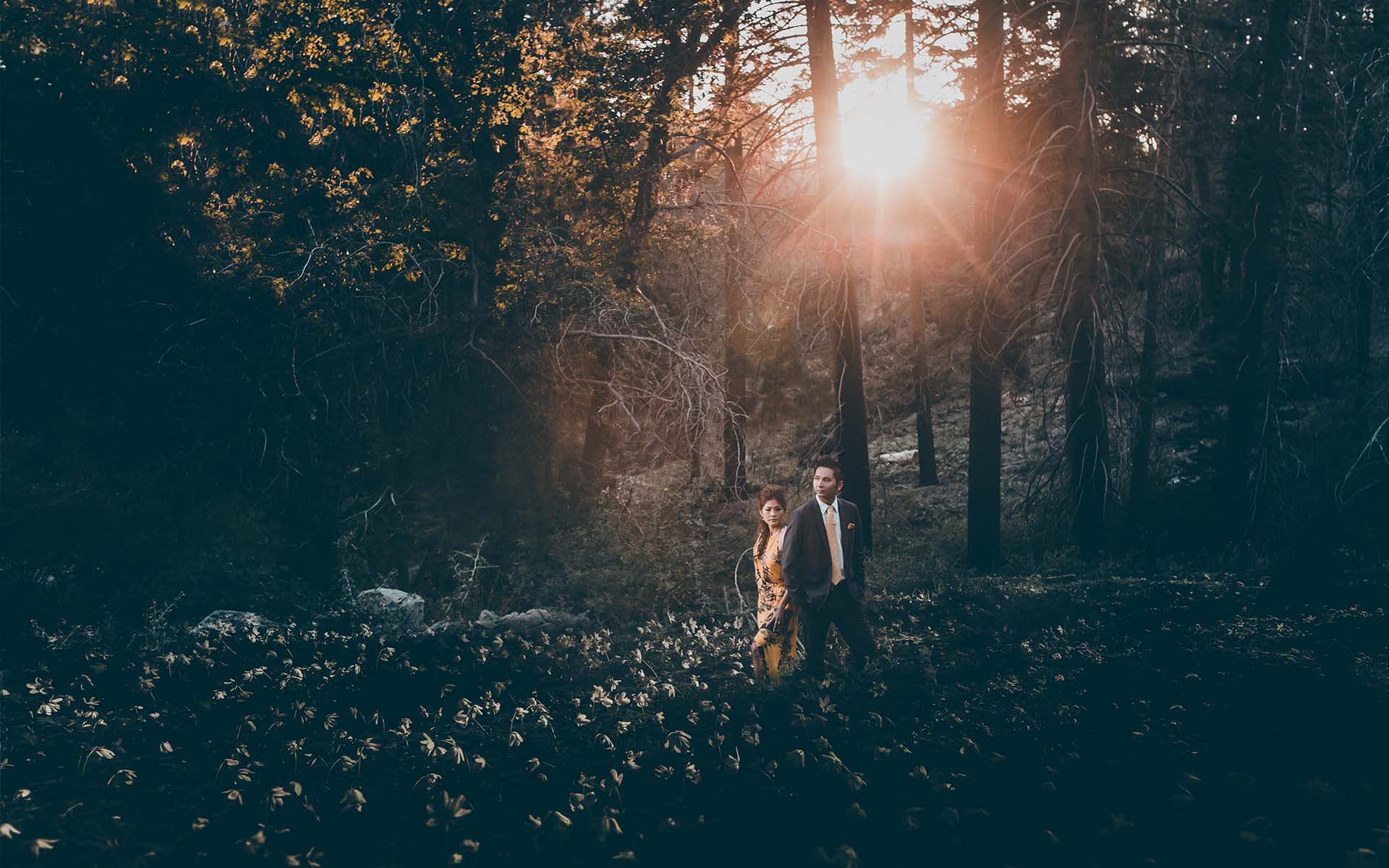 Forest sunset engagement session in San Bernardino Mountains by Lake Arrowhead