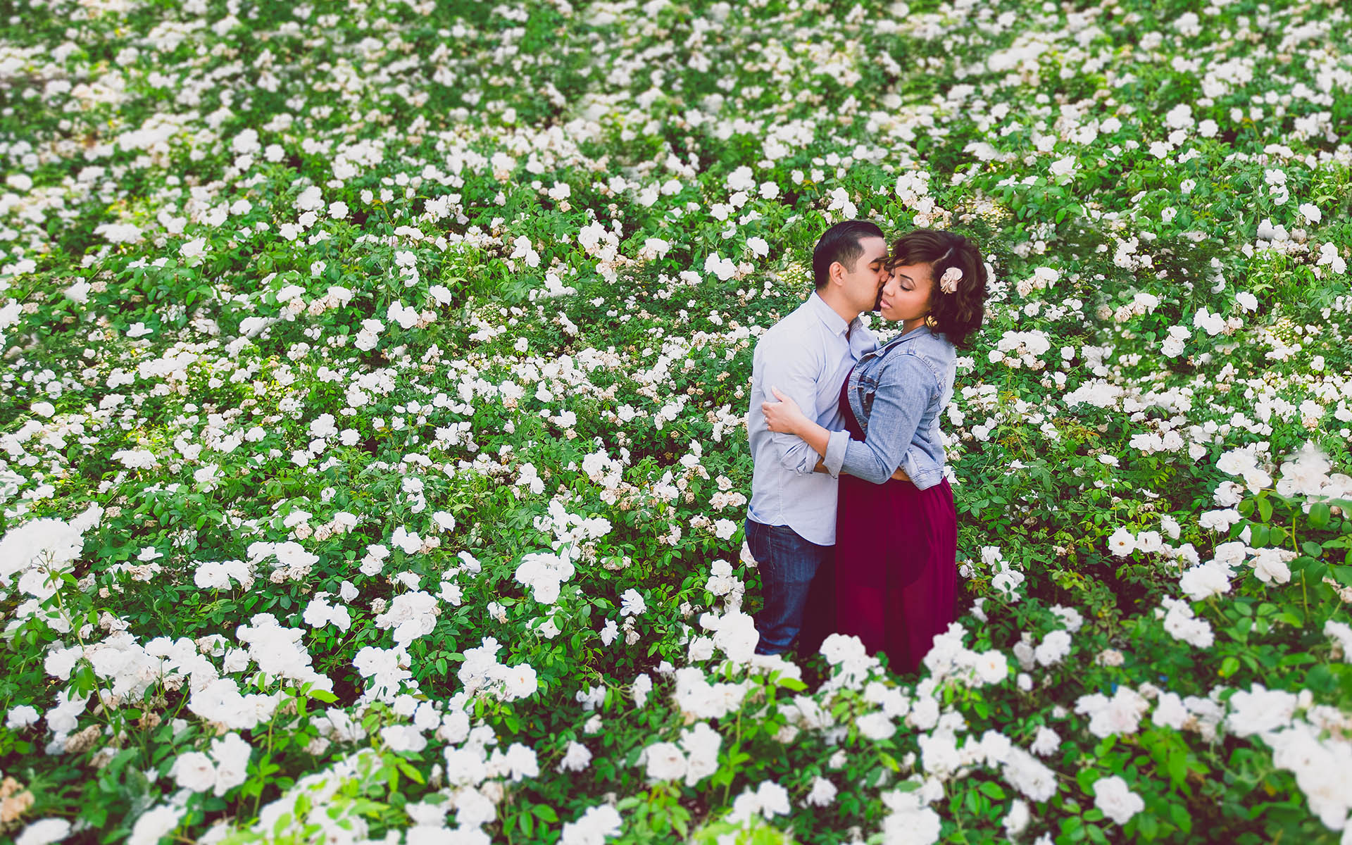 man kissing fiance in rose garden at chapman university